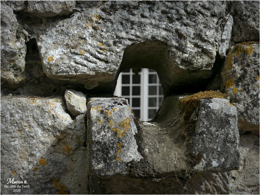 BLOG-P1040462-château Cazeneuve 33