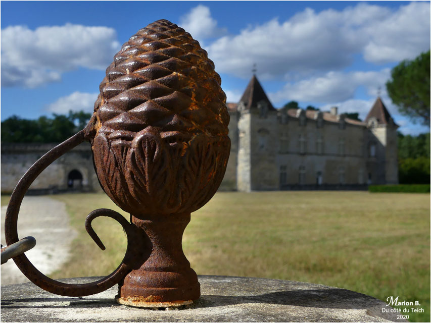 BLOG-P1040491-château Cazeneuve 33