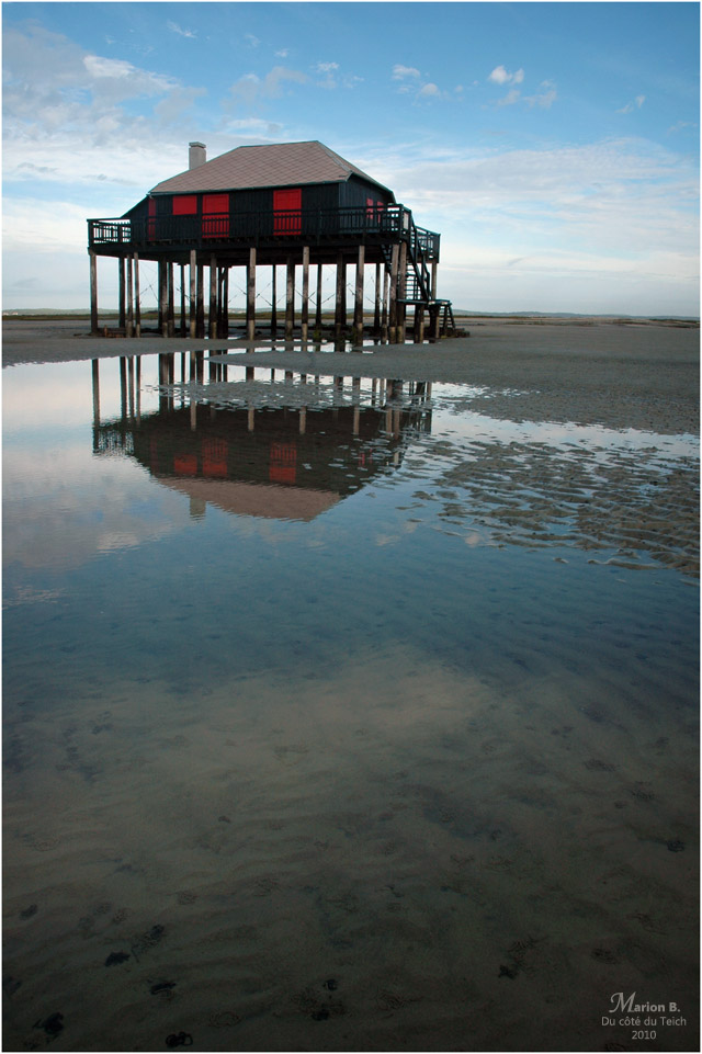 BLOG-DSC_0779-Tchanquée rouge et reflet