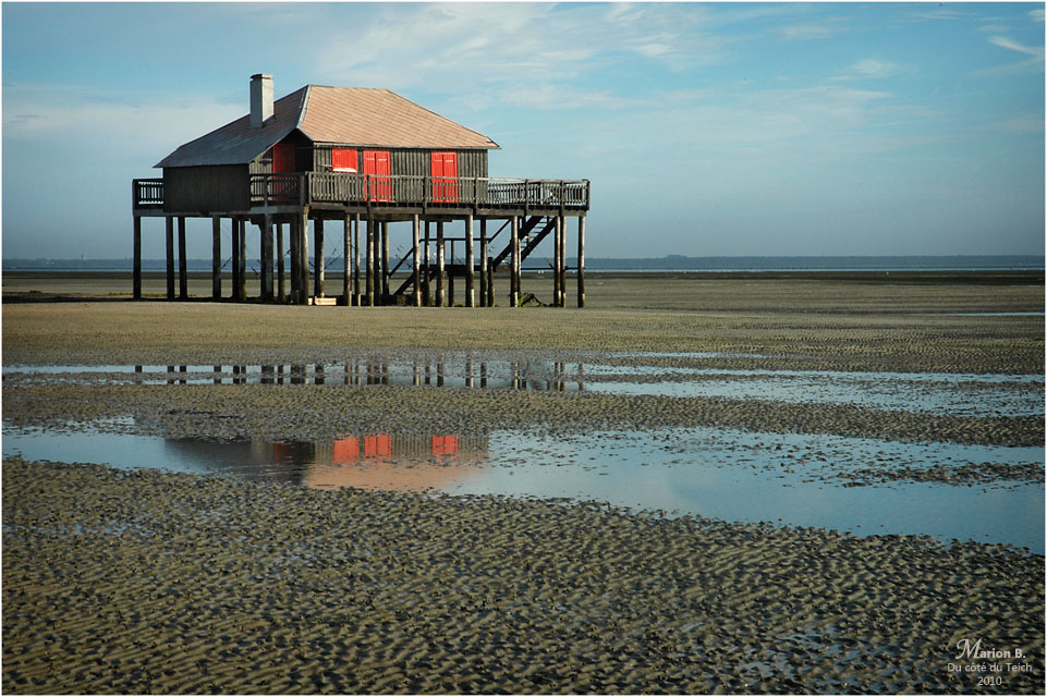 BLOG-DSC_0795-Tchanquée rouge