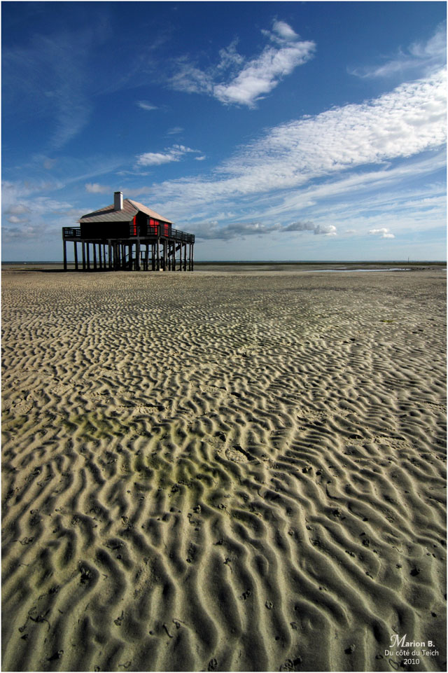 BLOG-DSC_0875-Tchanquée rouge